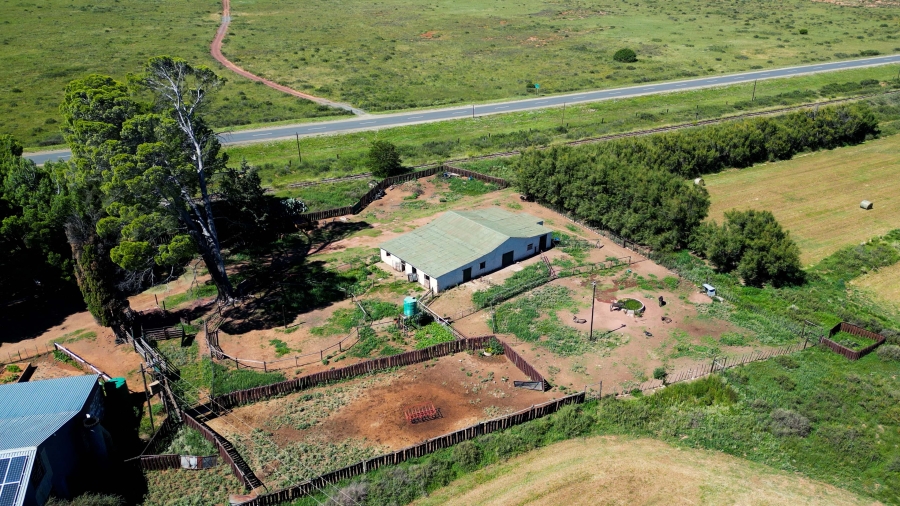 5 Bedroom Property for Sale in Steynsburg Rural Eastern Cape